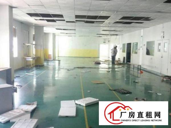 
		出租龙岗区坪地坪西村新出楼上450平方仓库招租
	