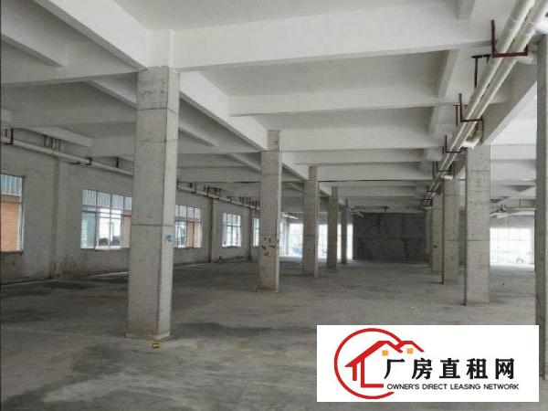
		出租龙岗区坪地1800全新厂房出租，交通方便
	