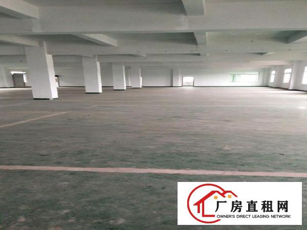 
		龙岗坪地坪地白石塘吉祥三路独院厂房4300平米可分
	
