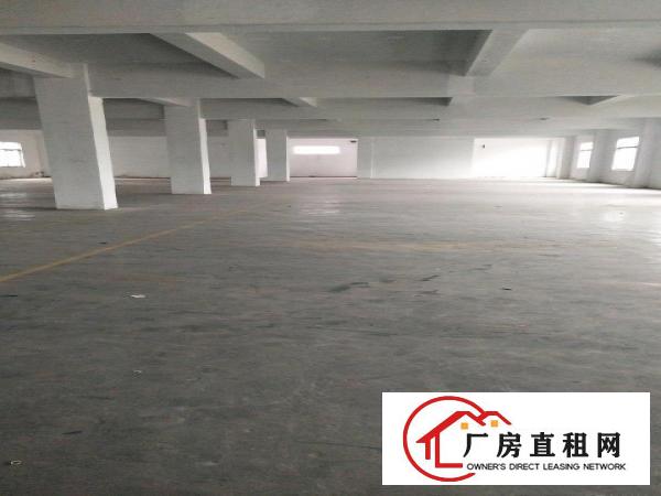 
		龙岗坪地坪地白石塘吉祥三路独院厂房4300平米可分
	