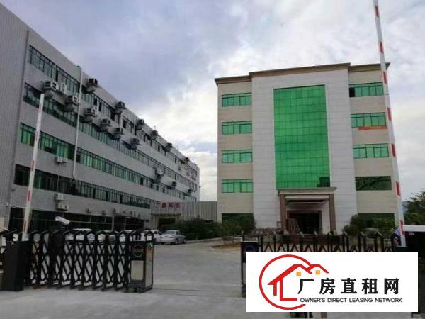 
		出租龙岗区坪地形象好2楼500平新厂房可分租现成水电
	