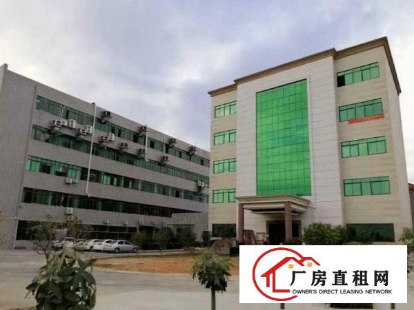 
		出租龙岗区坪地形象好2楼500平新厂房可分租现成水电
	