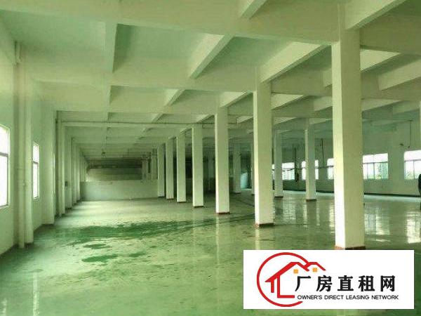 
		出租龙岗区坪地形象好2楼500平新厂房可分租现成水电
	