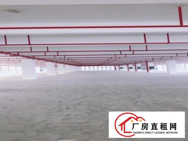 
		出租龙岗区坪地低碳城旁边红本标准厂房大小分组停车方便
	
