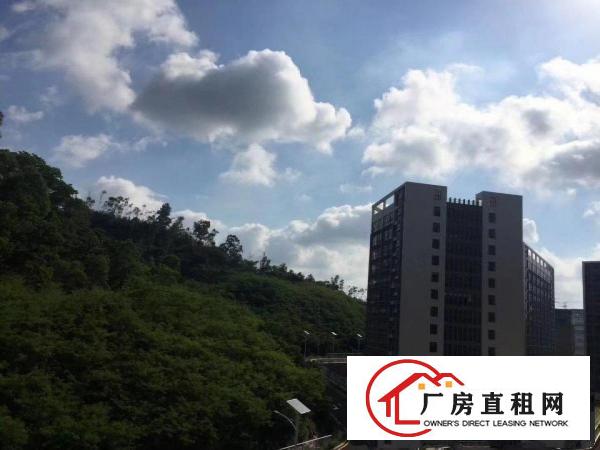 
		出租龙岗区坪地国际低碳城附近红本标准厂房大小分组环境优雅
	