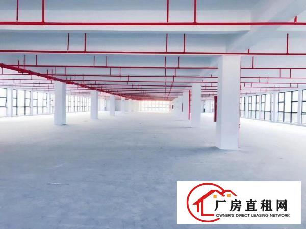 
		出租龙岗区坪地国际低碳城附近红本标准厂房大小分组环境优雅
	