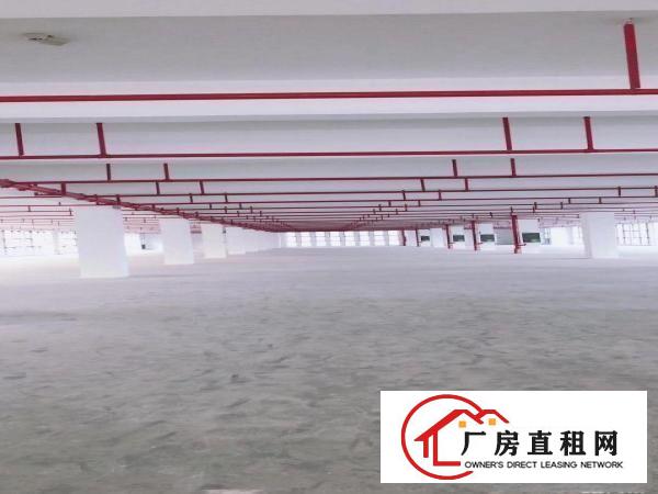 
		出租龙岗区坪地国际低碳城附近红本标准厂房大小分组环境优雅
	
