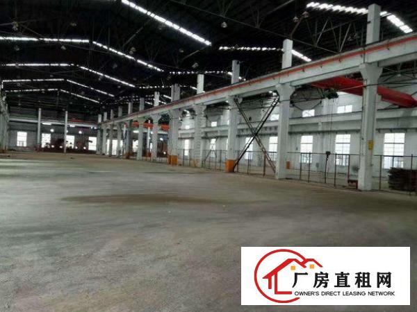 
		龙岗区坪地新出1200平高10米钢构厂房招租
	