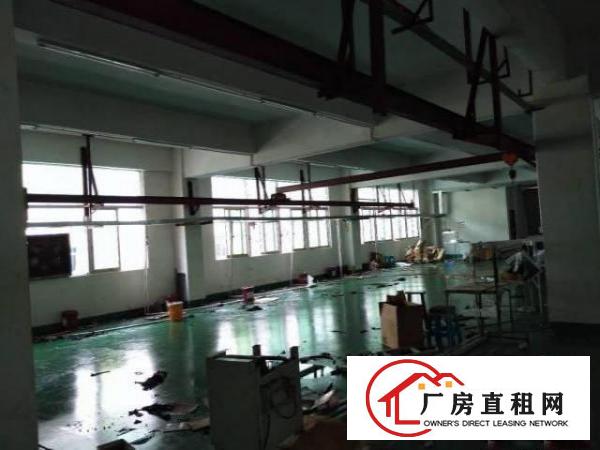 
		龙岗区坪地楼上新出910平精装修带消防喷淋厂房，面积实在，新
	