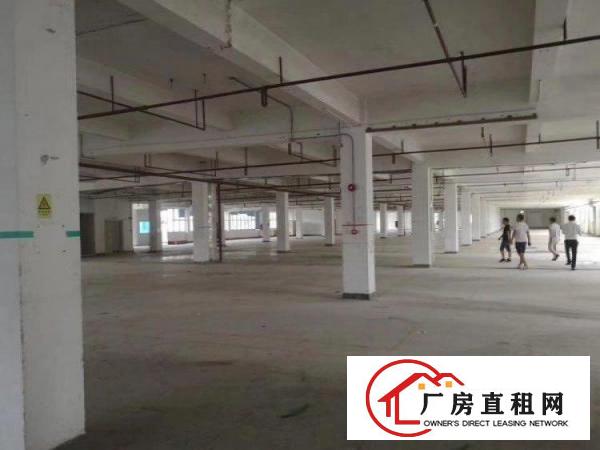 
		龙岗坪地红本花园式厂房出租原房东厂房形象好，位置优
	