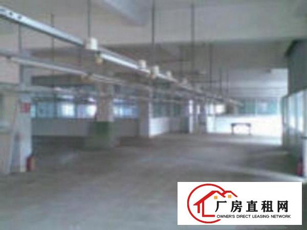 
		坪地教育北路独院标准厂房三楼900平电子厂带装修出租
	