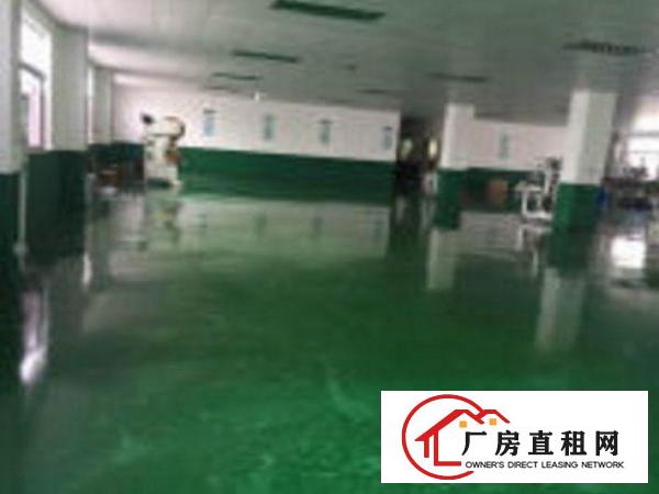 
		坪地教育中路独院厂房2楼650平方天花员顶装修
	