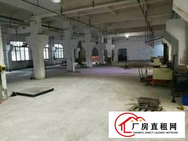 
		出租龙岗区坪地新空出1000平方，空地超大，带环保地坪漆
	