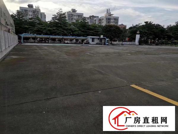 
		龙岗坪地中心段红本独院仓库厂房钢构12米空地大年限长
	