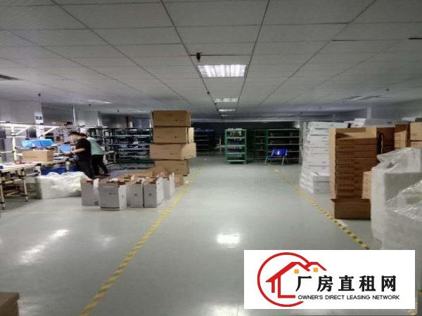 
		出租龙岗区坪地新出原房东3楼带精装修办公室厂房带2吨电梯
	
