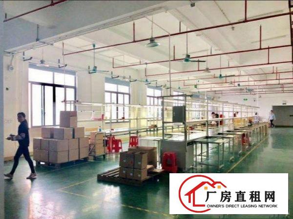 
		出租龙岗区坪地楼上豪装厂房420平方办公室地坪漆水电
	