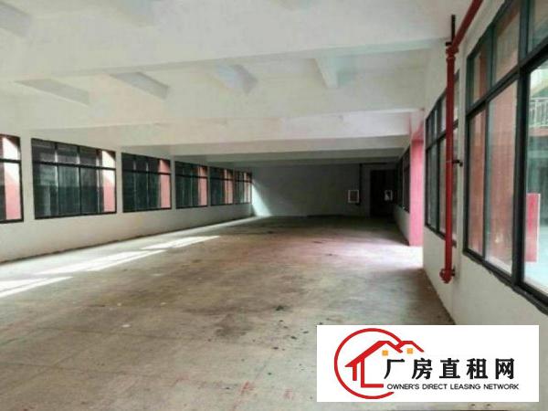 
		出租龙岗区坪地教育北路中心新出独门独院200平起分租
	