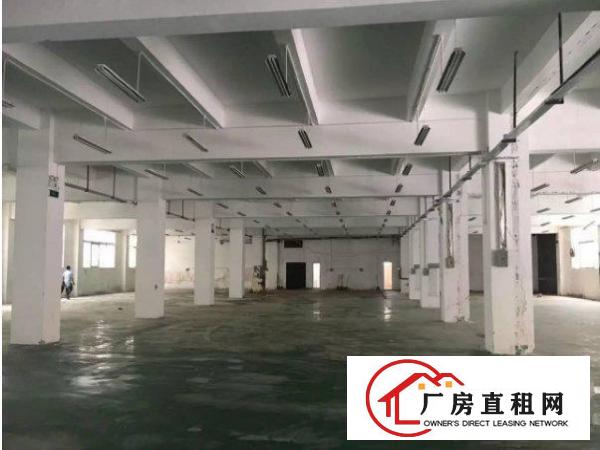 
		出租龙岗区坪地一楼1200平厂房可分租层高5米
	