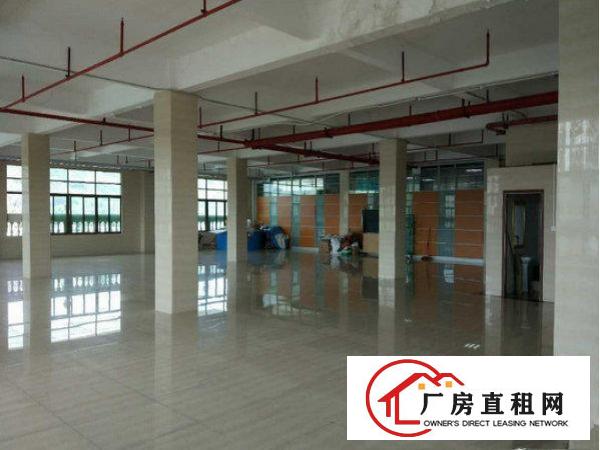
		出租龙岗区坪地标准一楼厂房1000方6米高
	