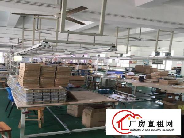 
		坪地年丰社区独院厂房/仓库1000平米分租
	