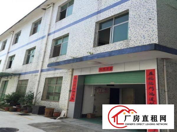 
		坪地年丰社区独院厂房/仓库1000平米分租
	