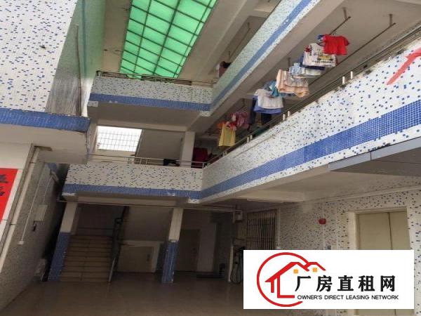
		坪地年丰社区独院厂房/仓库1000平米分租
	