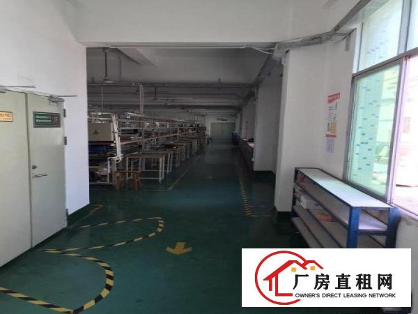 
		坪地年丰社区独院厂房/仓库1000平米分租
	