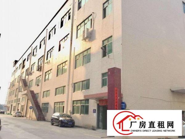 
		坪地新出2400平方整层厂房带装修可分租
	