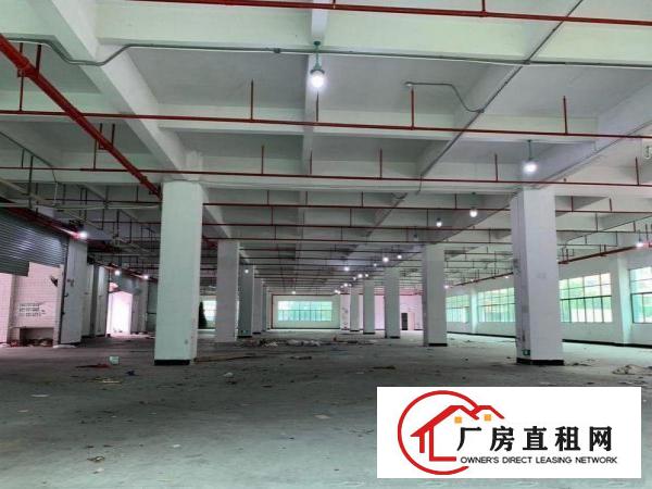 
		坪地一手房东一楼1500平方厂房可分租带卸货平台
	