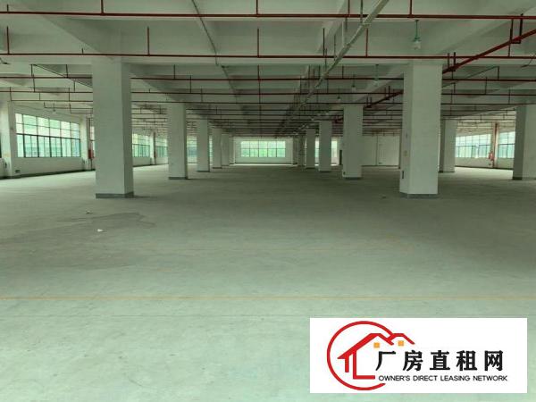 
		坪地一手房东一楼1500平方厂房可分租带卸货平台
	