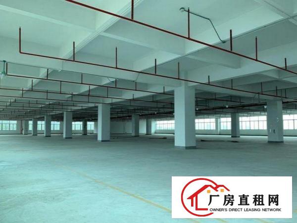 
		坪地一手房东一楼1500平方厂房可分租带卸货平台
	