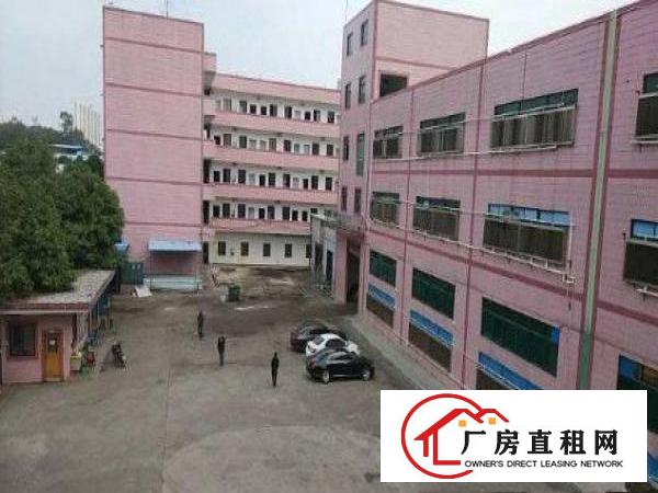 
		坪地标准一楼1183平米出租可分租
	