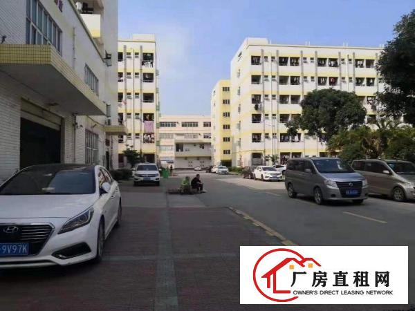 
		沙井新桥第三工业区新出楼上精装修厂房1300平米
	