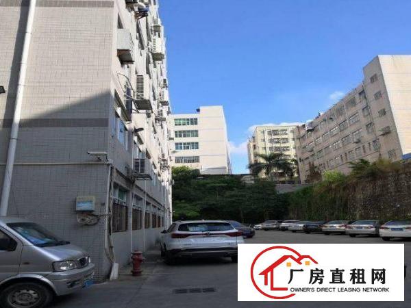 
		龙岗区坪地出租楼上带精装修230平，有地坪漆和吊顶
	
