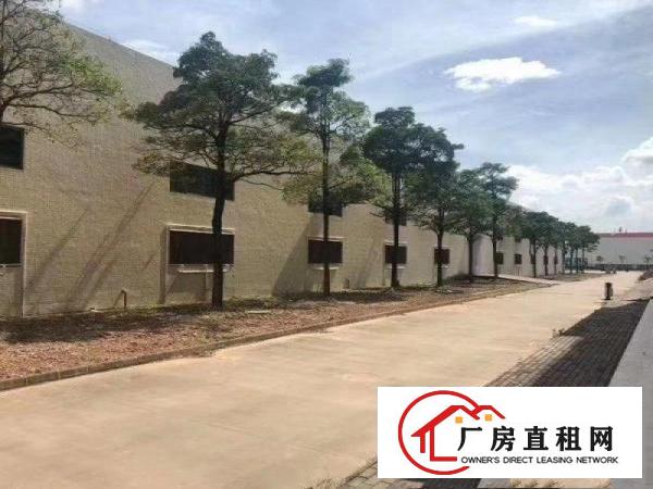 
		龙岗坪地红本大工业区形象可做研发科技办公医疗设备物流仓库
	