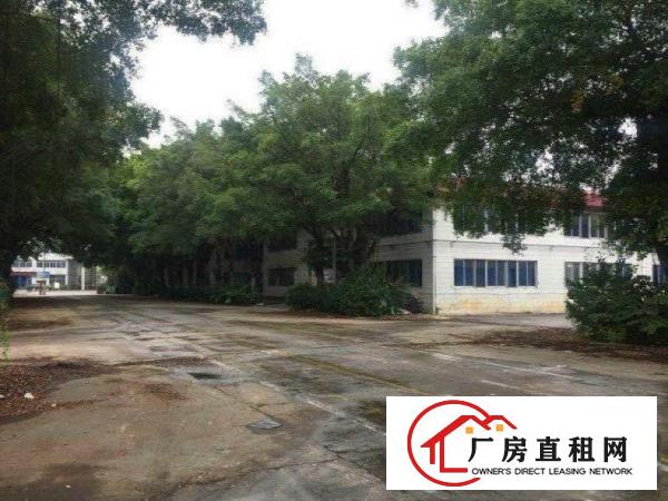 
		出租龙岗区坪地砖墙到顶钢构厂房1800平现成水电有装修
	