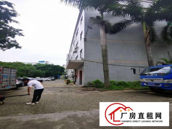 
		观澜章阁880平带红本独门独院精装修厂房出租大小可
	