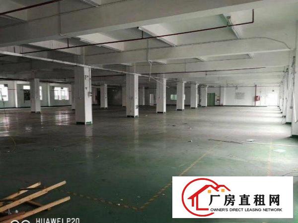 
		坪地教育北路261平方厂房物业出租超大空地带红本
	