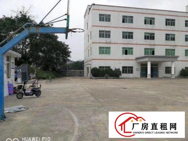 
		坪地教育北路261平方厂房物业出租超大空地带红本
	