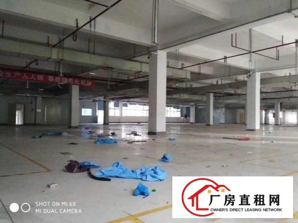 
		龙岗坪地红本花园式厂房35000平原房东厂房形象好，位置优
	