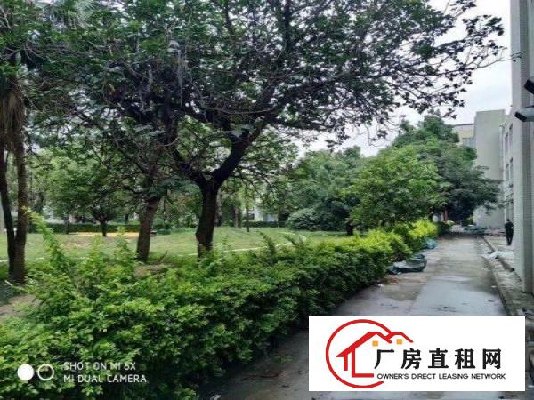 
		龙岗坪地红本花园式厂房35000平原房东厂房形象好，位置优
	