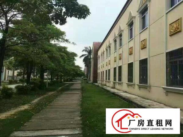 
		坪地坪东第二工业区原房东500平直租带装修办公室
	