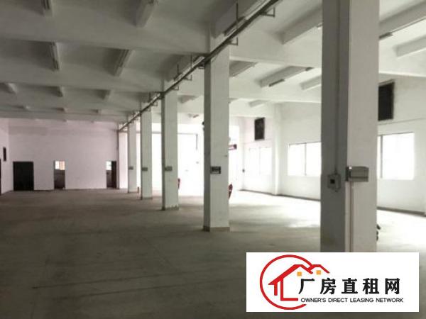 
		出租龙岗区坪地一楼650平方厂房可做有气味行业
	