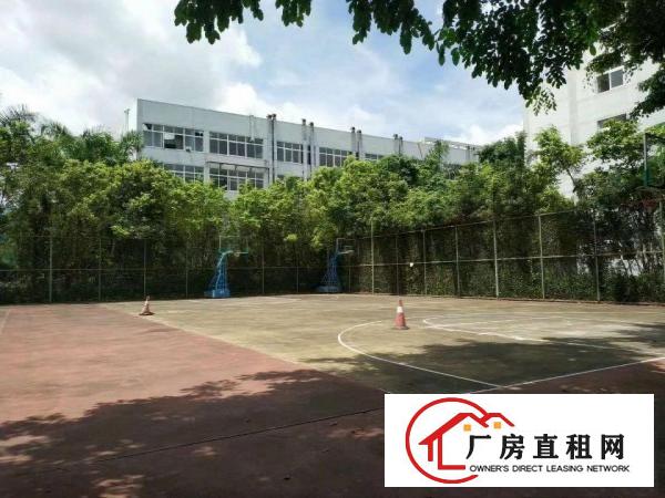 
		出租龙岗区坪地大型工业区原房东楼上实际面积1000平厂房
	