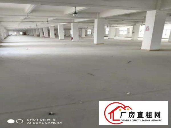 
		坪地汇鸿鑫物业六联北通道边独院厂房分租
	
