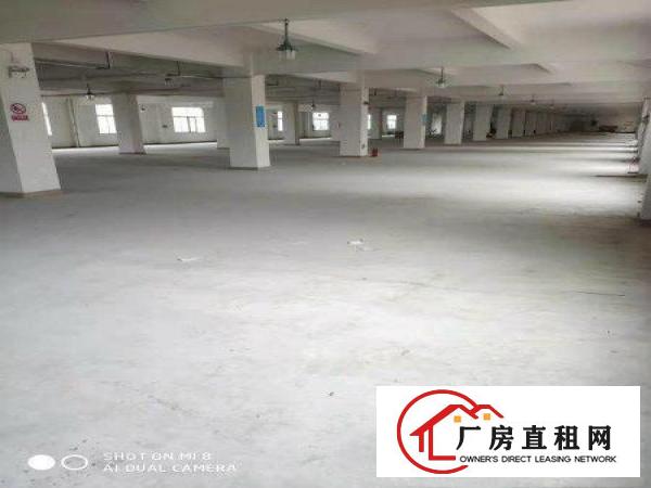 
		坪地汇鸿鑫物业六联北通道边独院厂房分租
	