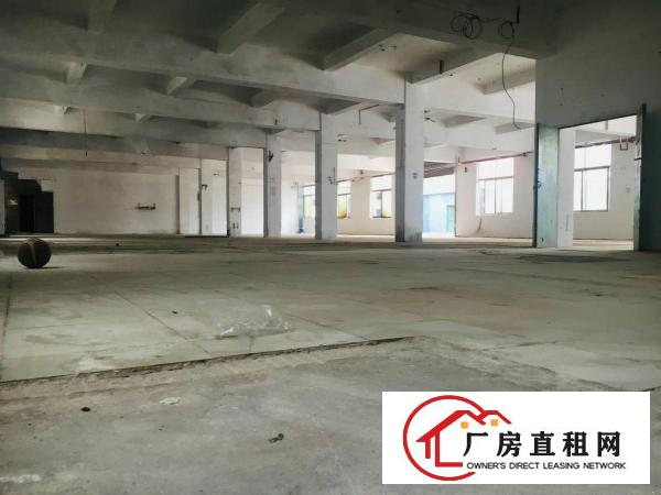 
		坪地六联联盛路14号独门独院可分租
	