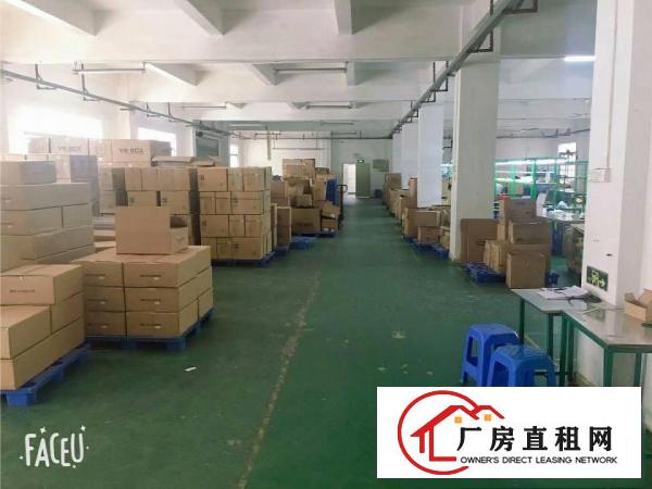 
		一楼整层1000平方出租可分租
	