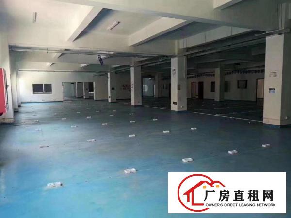 
		龙岗坪地原房东独院诚邀新材料，新能源，电子信息，精密五金
	
