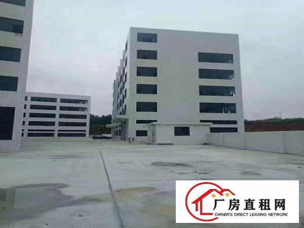 
		龙岗坪地原房东厂房适合高新产业电子贸易科技医疗研发等
	